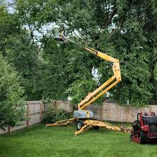 Best Hazardous Tree Removal  in Silverdale, WA