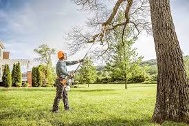Best Tree and Shrub Care  in Silverdale, WA