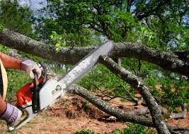 Best Emergency Tree Removal  in Silverdale, WA