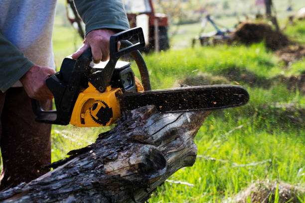 Best Seasonal Cleanup (Spring/Fall)  in Silverdale, WA